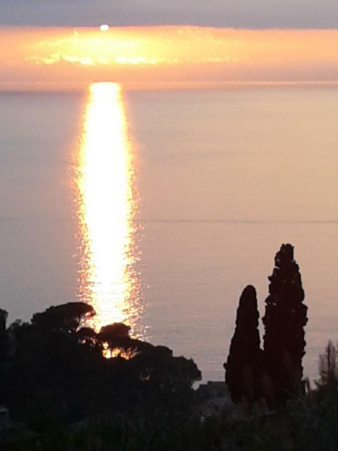 La Depandance Della Nonna Camogli Exterior foto